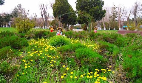 Отель AQUARIUS на ВОЛНЕ (Аквариус на волне), Анапа