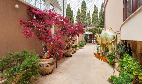 Отель Ellison Dubai. Сочи, Адлер