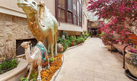 Отель Ellison Dubai. Сочи, Адлер