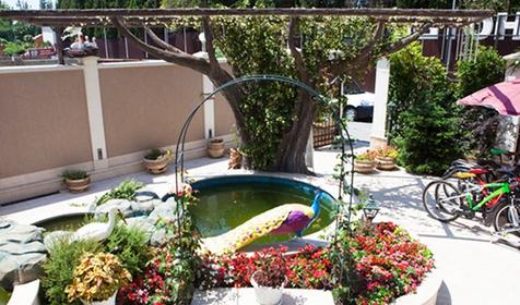 Отель Ellison Dubai. Сочи, Адлер