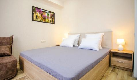 Апартаменты двухместные Студия (с видом на двор и горы)