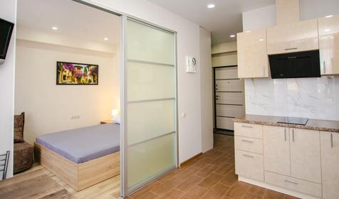 Апартаменты двухместные Студия (с видом на двор и горы)