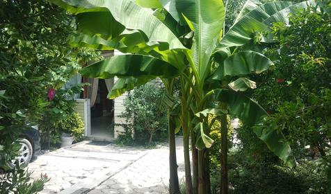 Ростовский дворик