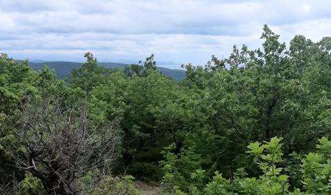 Севкавтисиз