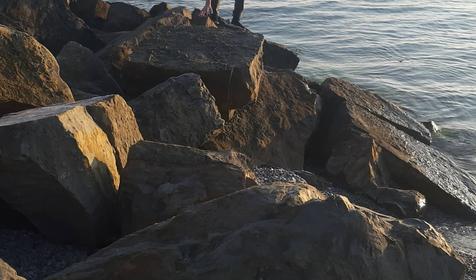 Севкавтисиз