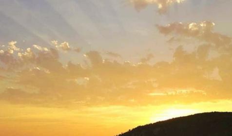 Севкавтисиз