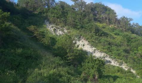 Севкавтисиз