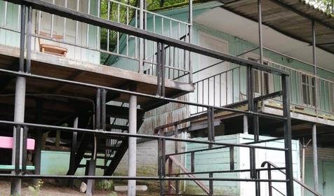 Севкавтисиз