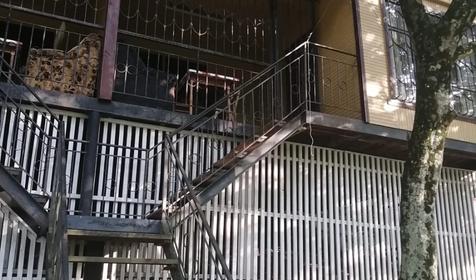 Домик со всеми удобствами