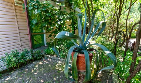 Гостевой дом Магнолия