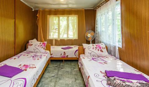 Эконом семиместный