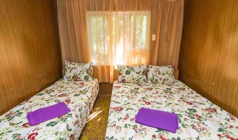 Эконом семиместный