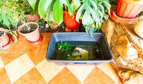 Гостевой дом Агат, Геленджик, Кабардинка