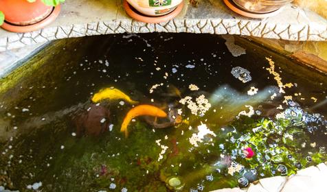 Гостевой дом Агат, Геленджик, Кабардинка