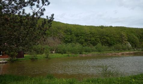 Лесной дворик