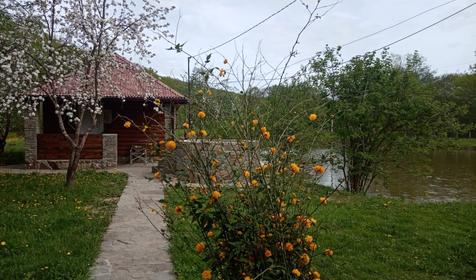 Лесной дворик