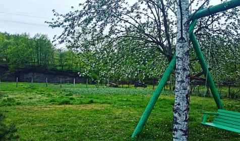 Лесной дворик