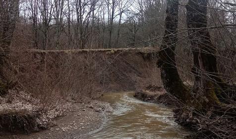 Лесной дворик