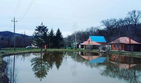 Лесной дворик