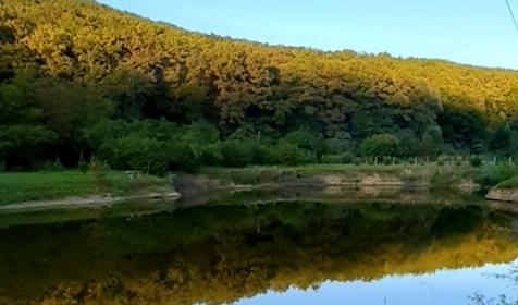 Лесной дворик