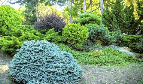 Парк-отель Небуг