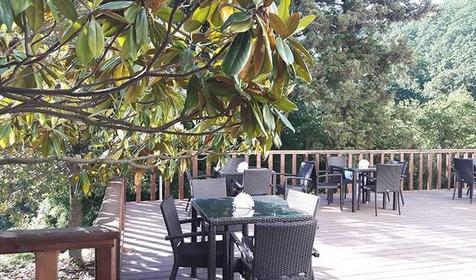 Парк-отель Небуг