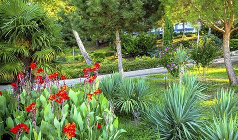 Парк-отель Небуг