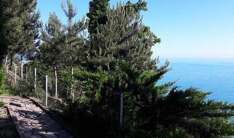 Парк-отель Небуг