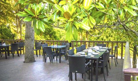 Парк-отель Небуг