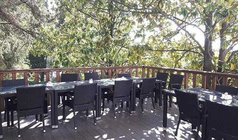 Парк-отель Небуг