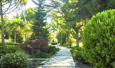 Парк-отель Небуг