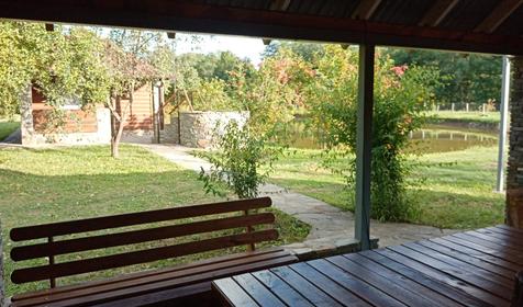 Лесной дворик