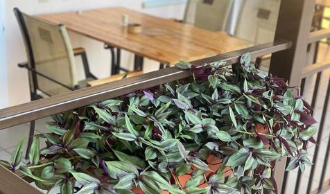 Золотой песок