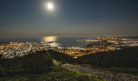 Среди пицундских сосен