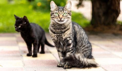 База отдыха У скалы Монах