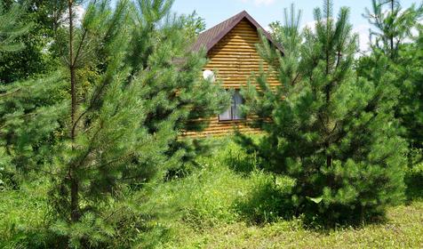 Зеленые Холмы