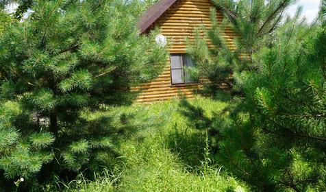 Зеленые Холмы