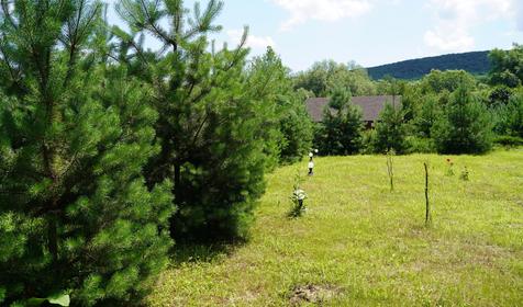 Зеленые Холмы