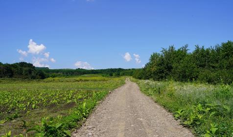 Зеленые Холмы