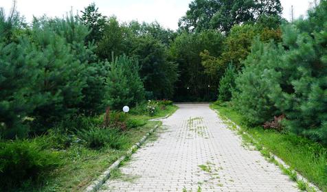 Зеленые Холмы