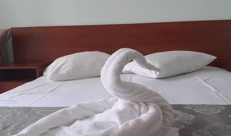 Двухместный стандарт с балконом