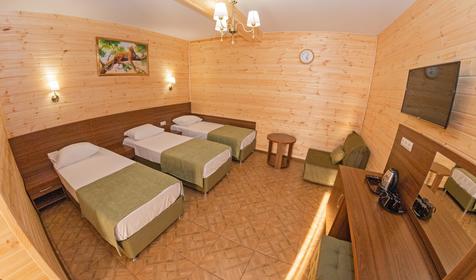 Комфорт трехместный с террасой