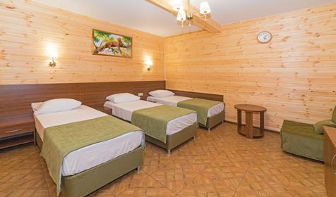 Комфорт трехместный с террасой