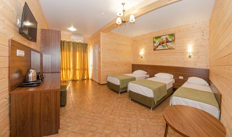 Комфорт трехместный с террасой