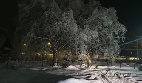 Stellar (Стеллар)