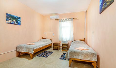 Эконом Твин