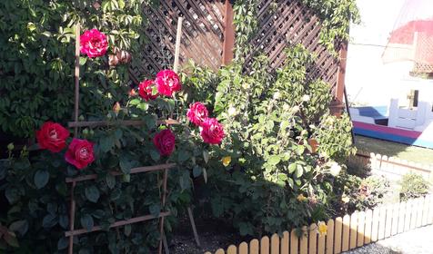 Песчаный берег