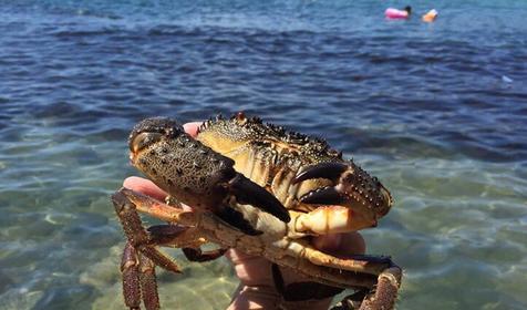 Гостиница Фазенда, Бухта Инал