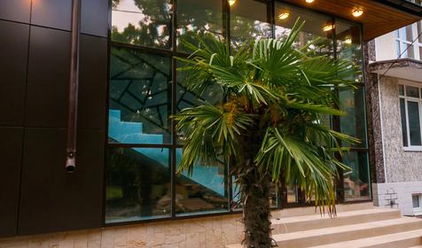 Николаев двор