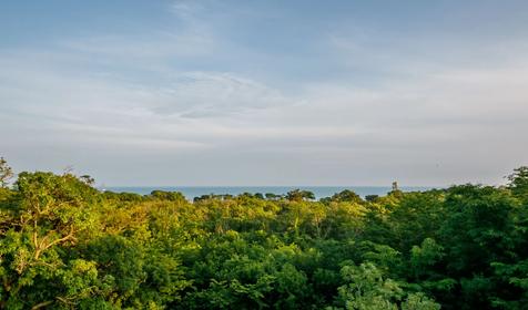 Николаев двор